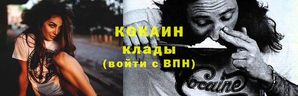твердый Дмитров