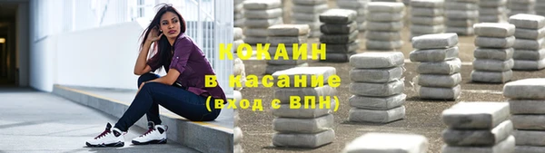 твердый Дмитров