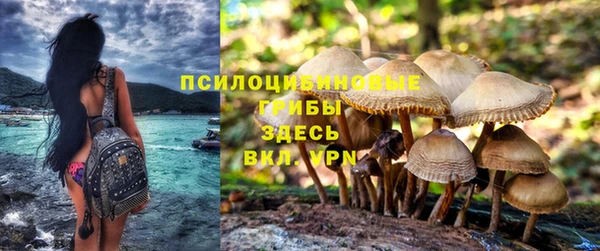 твердый Дмитров