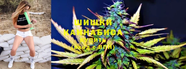 твердый Дмитров
