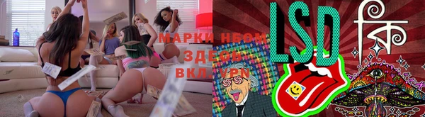 гашик Дмитровск