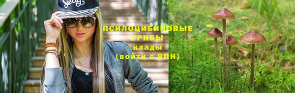 твердый Дмитров