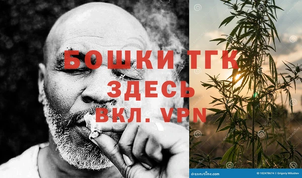 гашик Дмитровск