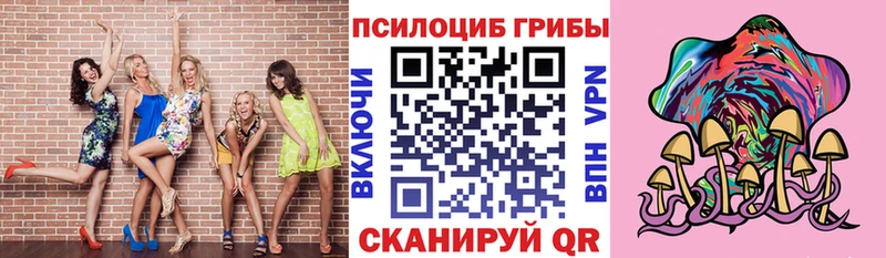 Купить закладки  Тимашёвск  Псилоцибиновые грибы MAGIC MUSHROOMS 